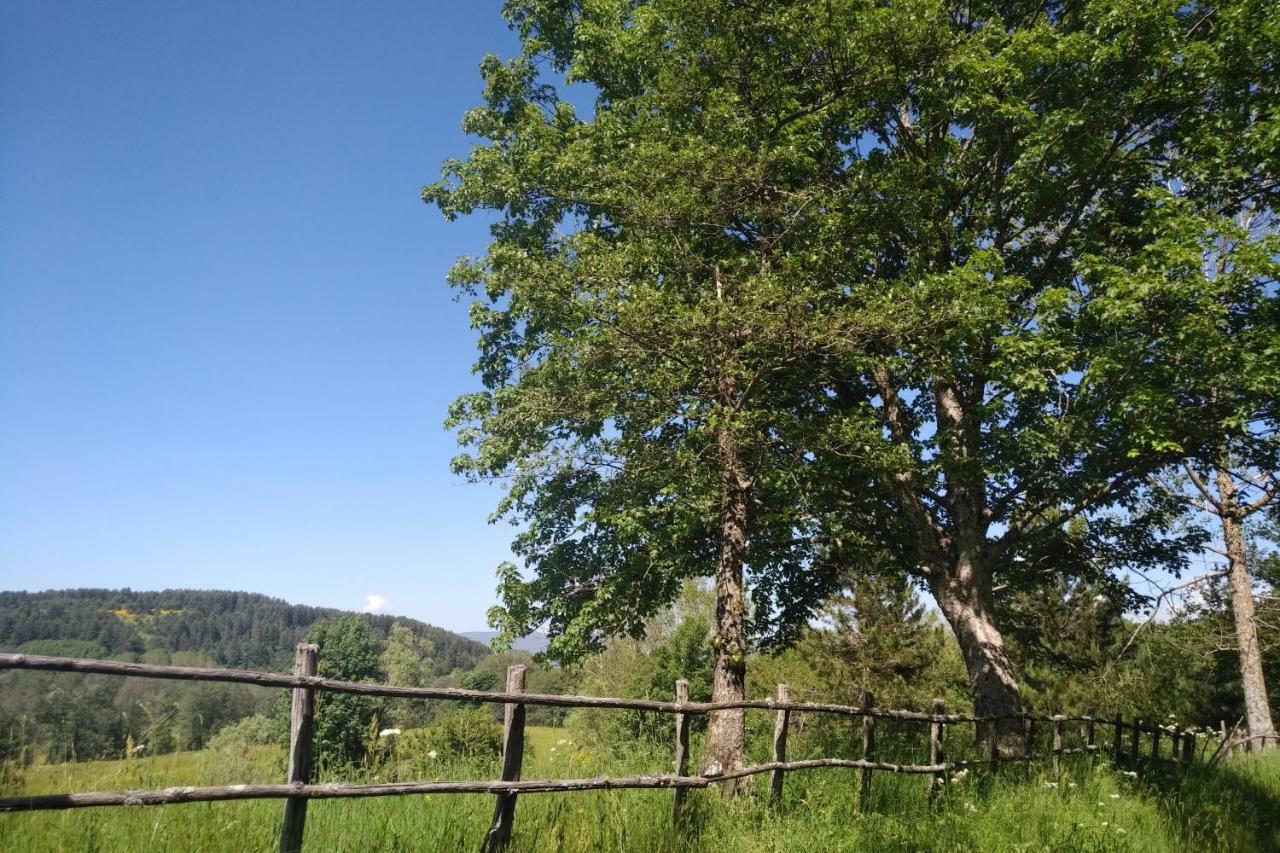 Torre Camigliati Dimora Storica Ξενοδοχείο Camigliatello Silano Εξωτερικό φωτογραφία