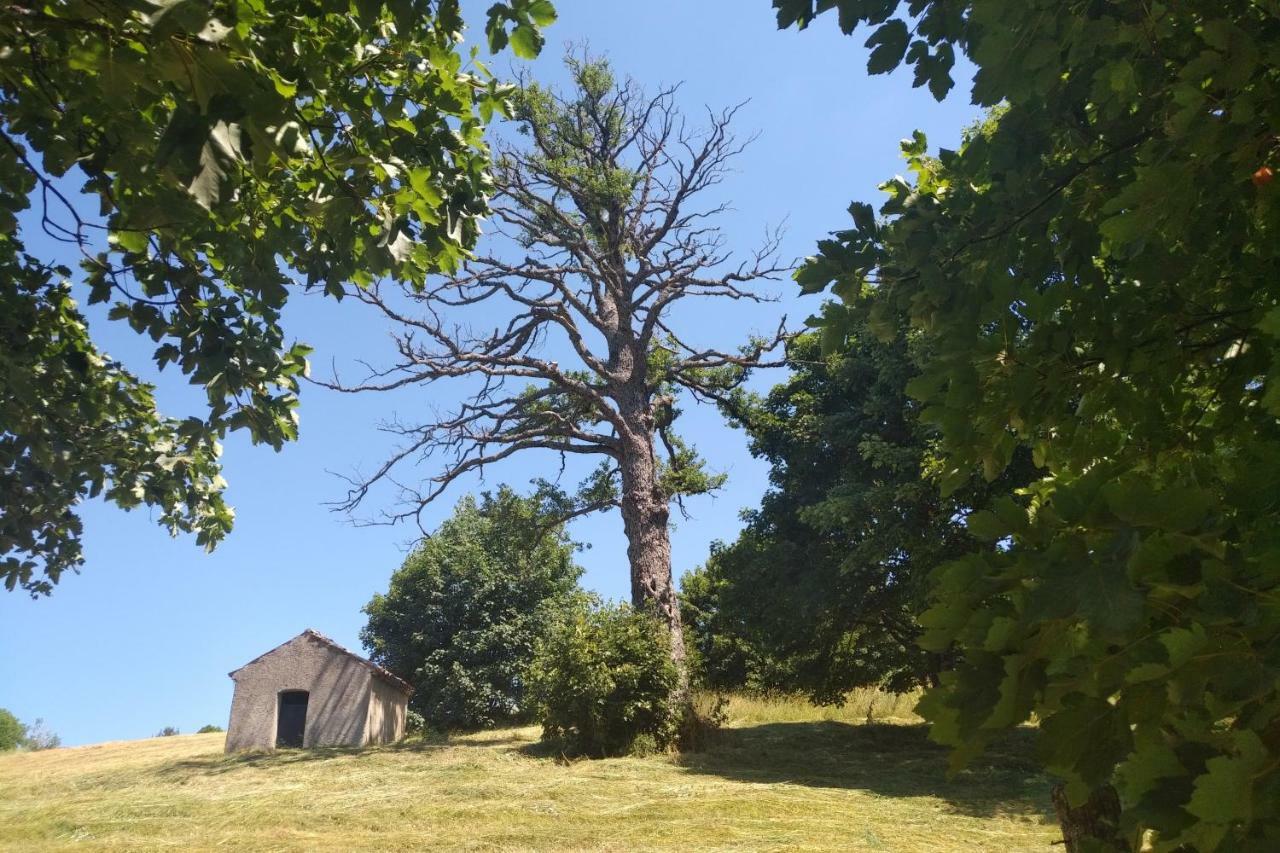 Torre Camigliati Dimora Storica Ξενοδοχείο Camigliatello Silano Εξωτερικό φωτογραφία